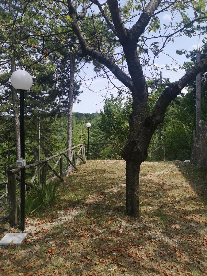 Poggio Eco B&B Ascoli Piceno Bagian luar foto