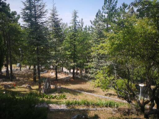 Poggio Eco B&B Ascoli Piceno Bagian luar foto