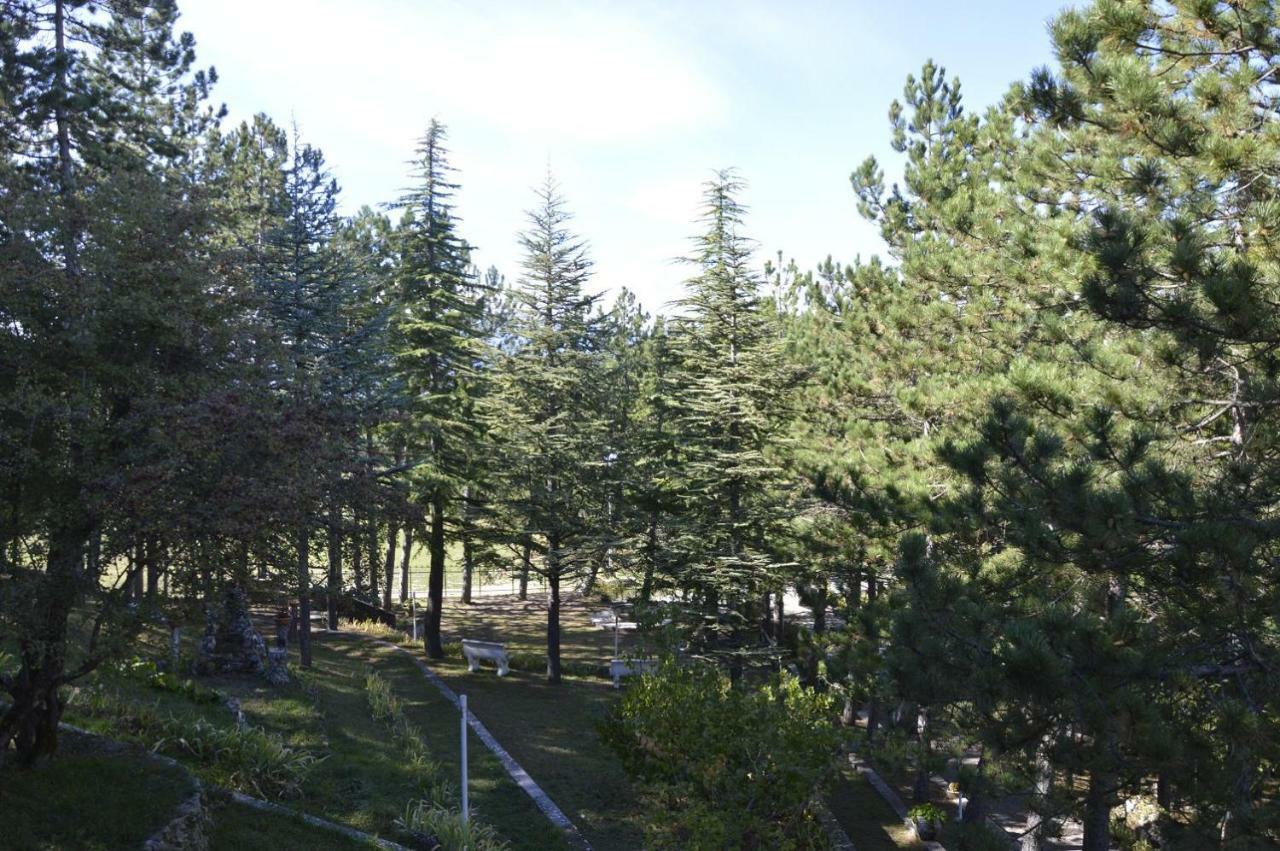 Poggio Eco B&B Ascoli Piceno Bagian luar foto