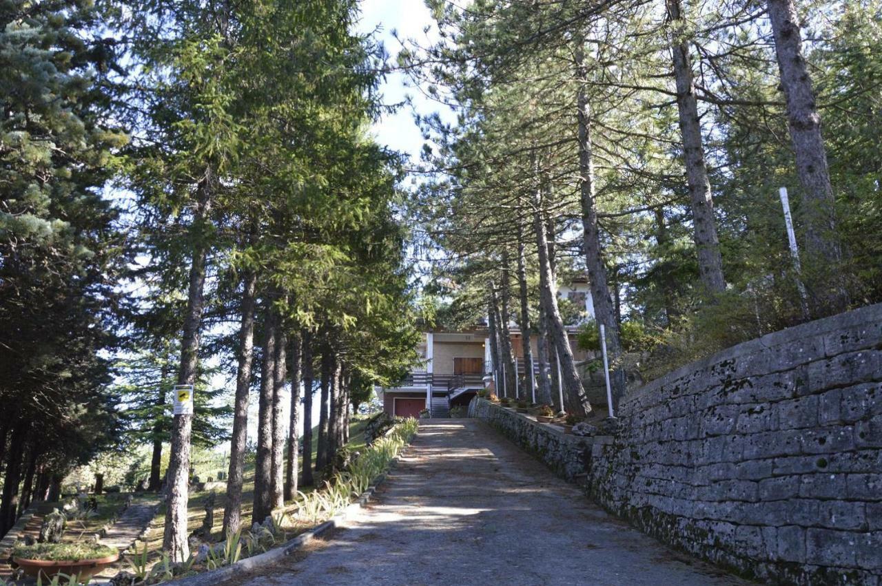 Poggio Eco B&B Ascoli Piceno Bagian luar foto
