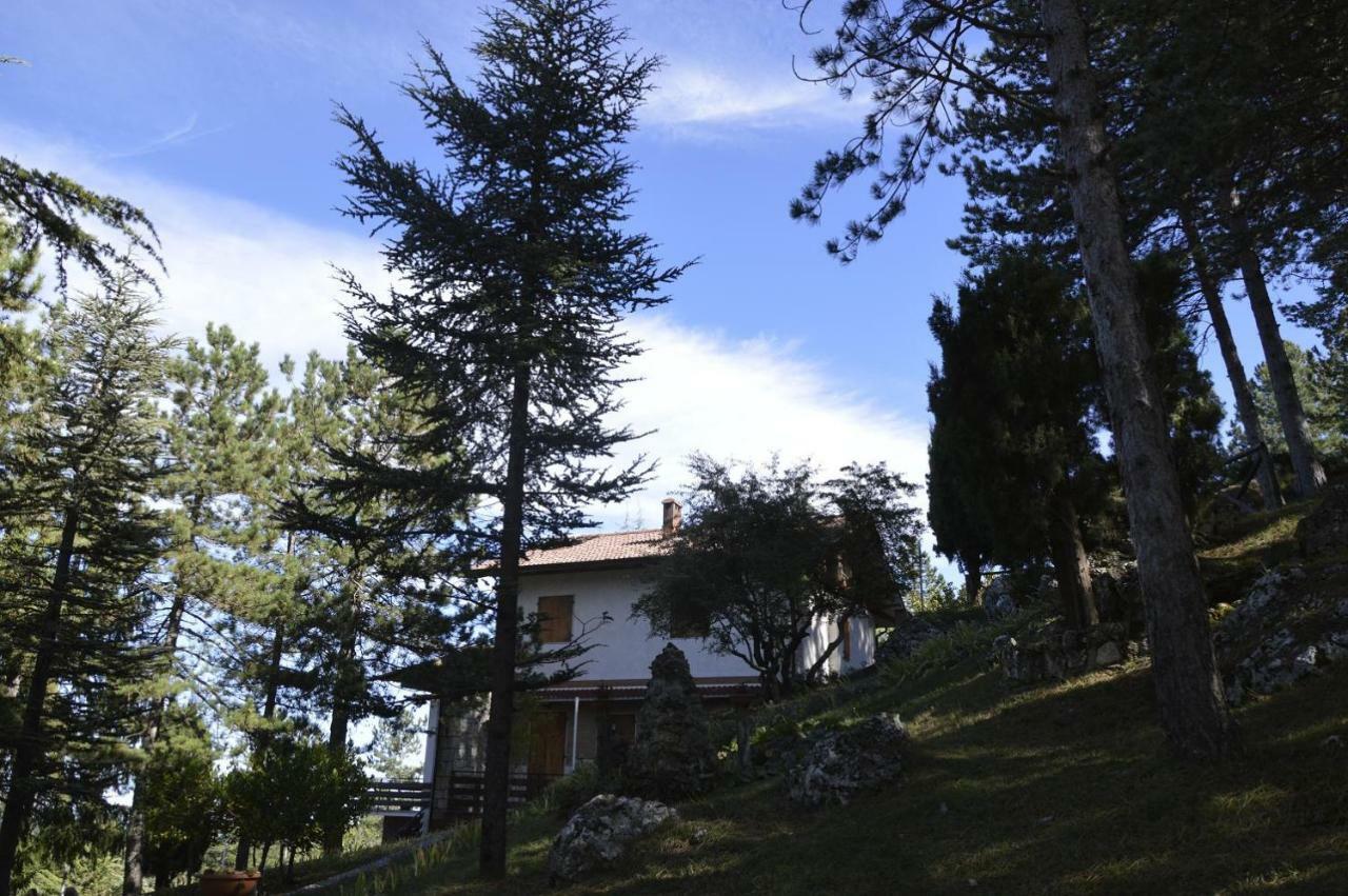 Poggio Eco B&B Ascoli Piceno Bagian luar foto